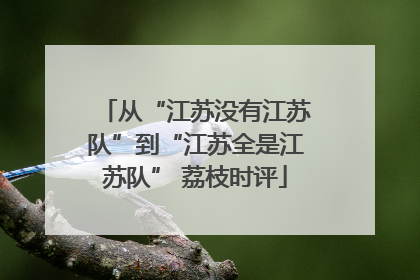 从“江苏没有江苏队”到“江苏全是江苏队” 荔枝时评