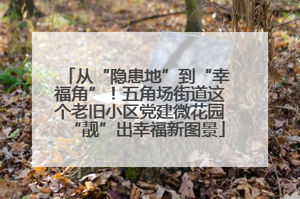 从“隐患地”到“幸福角”！五角场街道这个老旧小区党建微花园“靓”出幸福新图景