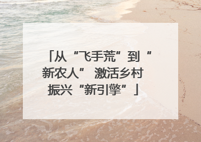 从“飞手荒”到“新农人” 激活乡村振兴“新引擎”