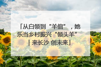 从白领到“羊倌”，她乐当乡村振兴“领头羊”｜来长沙 创未来