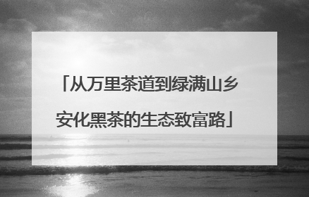 从万里茶道到绿满山乡 安化黑茶的生态致富路