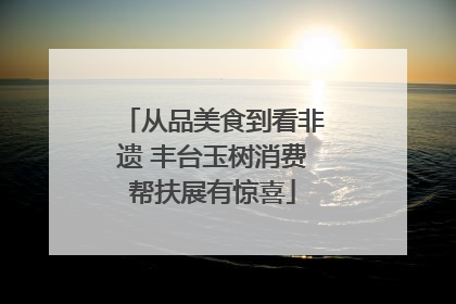 从品美食到看非遗 丰台玉树消费帮扶展有惊喜