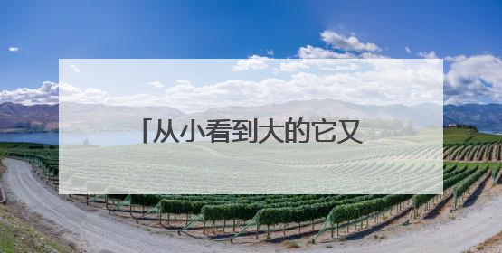 从小看到大的它又来了！北京今年“吊死鬼”会更多吗？