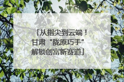 从指尖到云端！甘肃“陇原巧手”解锁创富新赛道