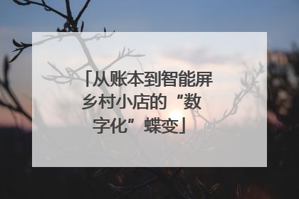 从账本到智能屏 乡村小店的“数字化”蝶变