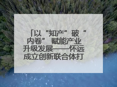 以“知产”破“内卷” 赋能产业升级发展——怀远成立创新联合体打造汽车零部件产业新高地
