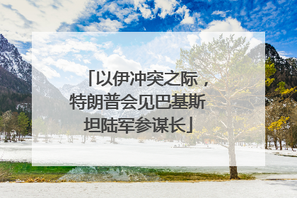 以伊冲突之际，特朗普会见巴基斯坦陆军参谋长