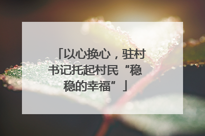 以心换心，驻村书记托起村民“稳稳的幸福”