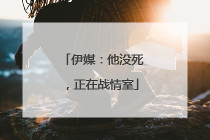 伊媒：他没死，正在战情室