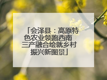 会泽县：高原特色农业领跑西南 三产融合绘就乡村振兴新图景