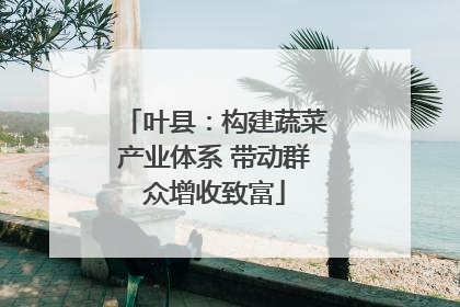 叶县：构建蔬菜产业体系 带动群众增收致富