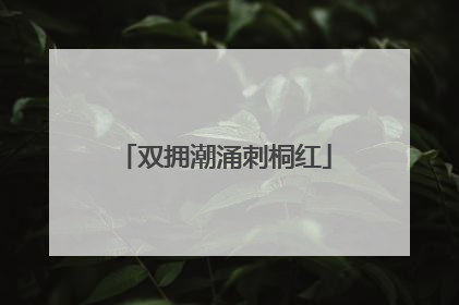 双拥潮涌刺桐红