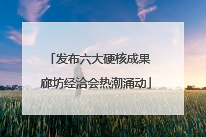 发布六大硬核成果 廊坊经洽会热潮涌动