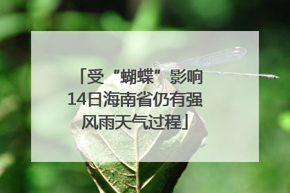 受“蝴蝶”影响 14日海南省仍有强风雨天气过程