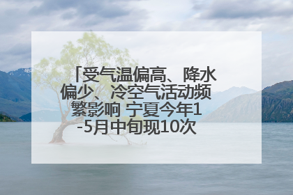 受气温偏高、降水偏少、冷空气活动频繁影响 宁夏今年1-5月中旬现10次定级沙尘天气过程