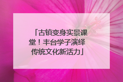 古镇变身实景课堂！丰台学子演绎传统文化新活力