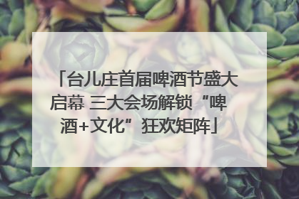 台儿庄首届啤酒节盛大启幕 三大会场解锁“啤酒+文化”狂欢矩阵