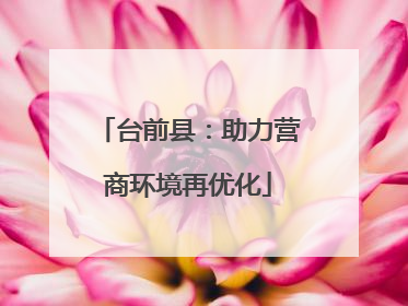 台前县：助力营商环境再优化