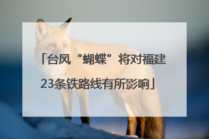 台风“蝴蝶”将对福建23条铁路线有所影响