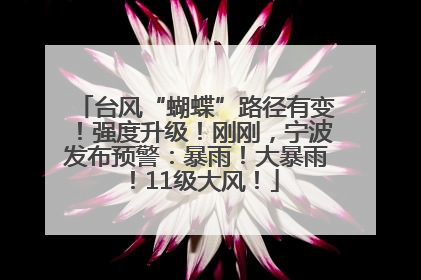 台风“蝴蝶”路径有变！强度升级！刚刚，宁波发布预警：暴雨！大暴雨！11级大风！