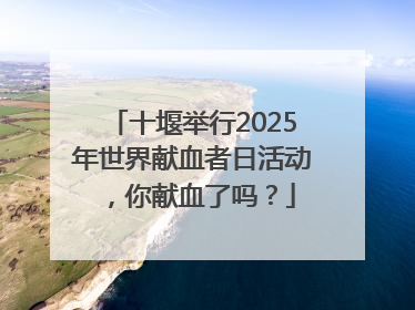 十堰举行2025年世界献血者日活动，你献血了吗？