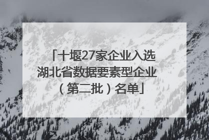 十堰27家企业入选湖北省数据要素型企业（第二批）名单