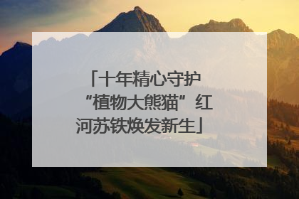 十年精心守护 “植物大熊猫”红河苏铁焕发新生