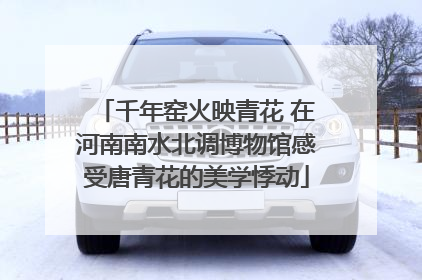 千年窑火映青花 在河南南水北调博物馆感受唐青花的美学悸动