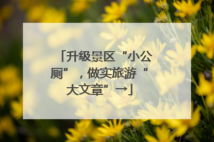 升级景区“小公厕”，做实旅游“大文章”→