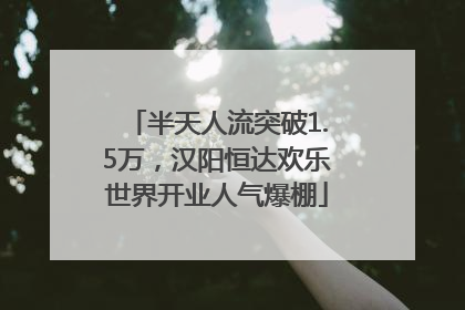 半天人流突破1.5万，汉阳恒达欢乐世界开业人气爆棚