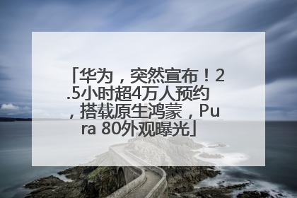 华为，突然宣布！2.5小时超4万人预约，搭载原生鸿蒙，Pura 80外观曝光