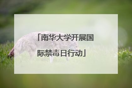 南华大学开展国际禁毒日行动