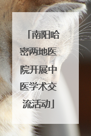 南阳哈密两地医院开展中医学术交流活动