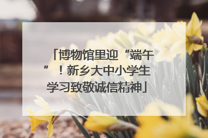 博物馆里迎“端午”！新乡大中小学生学习致敬诚信精神