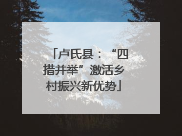 卢氏县：“四措并举”激活乡村振兴新优势