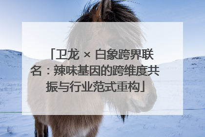卫龙 × 白象跨界联名：辣味基因的跨维度共振与行业范式重构