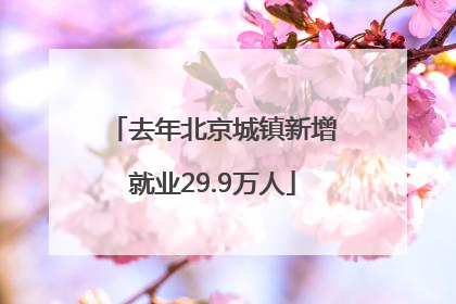去年北京城镇新增就业29.9万人