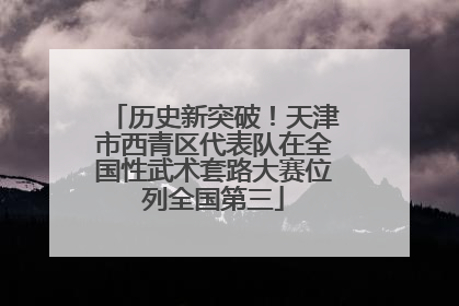 历史新突破！天津市西青区代表队在全国性武术套路大赛位列全国第三