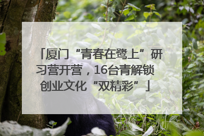 厦门“青春在鹭上”研习营开营，16台青解锁创业文化“双精彩”