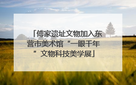 傅家遗址文物加入东营市美术馆“一眼千年”文物科技美学展
