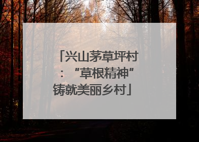 兴山茅草坪村：“草根精神”铸就美丽乡村