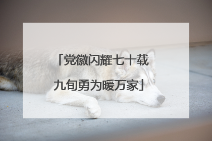 党徽闪耀七十载 九旬勇为暖万家