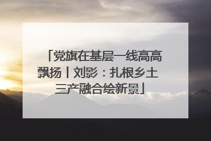 党旗在基层一线高高飘扬丨刘影：扎根乡土 三产融合绘新景