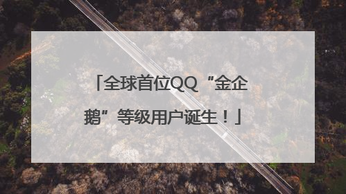 全球首位QQ“金企鹅”等级用户诞生！