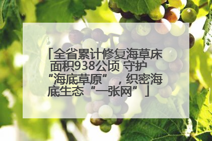 全省累计修复海草床面积938公顷 守护“海底草原”，织密海底生态“一张网”