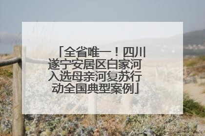 全省唯一！四川遂宁安居区白家河入选母亲河复苏行动全国典型案例