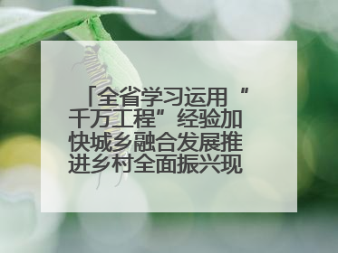 全省学习运用“千万工程”经验加快城乡融合发展推进乡村全面振兴现场会在上杭举行