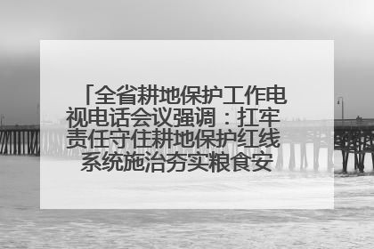 全省耕地保护工作电视电话会议强调：扛牢责任守住耕地保护红线 系统施治夯实粮食安全根基 王宁作出批示 王予波出席并讲话