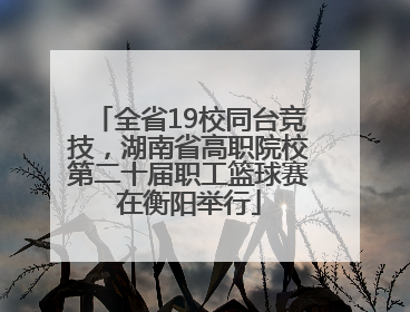 全省19校同台竞技，湖南省高职院校第二十届职工篮球赛在衡阳举行