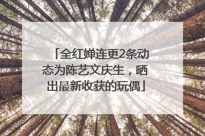 全红婵连更2条动态为陈艺文庆生，晒出最新收获的玩偶